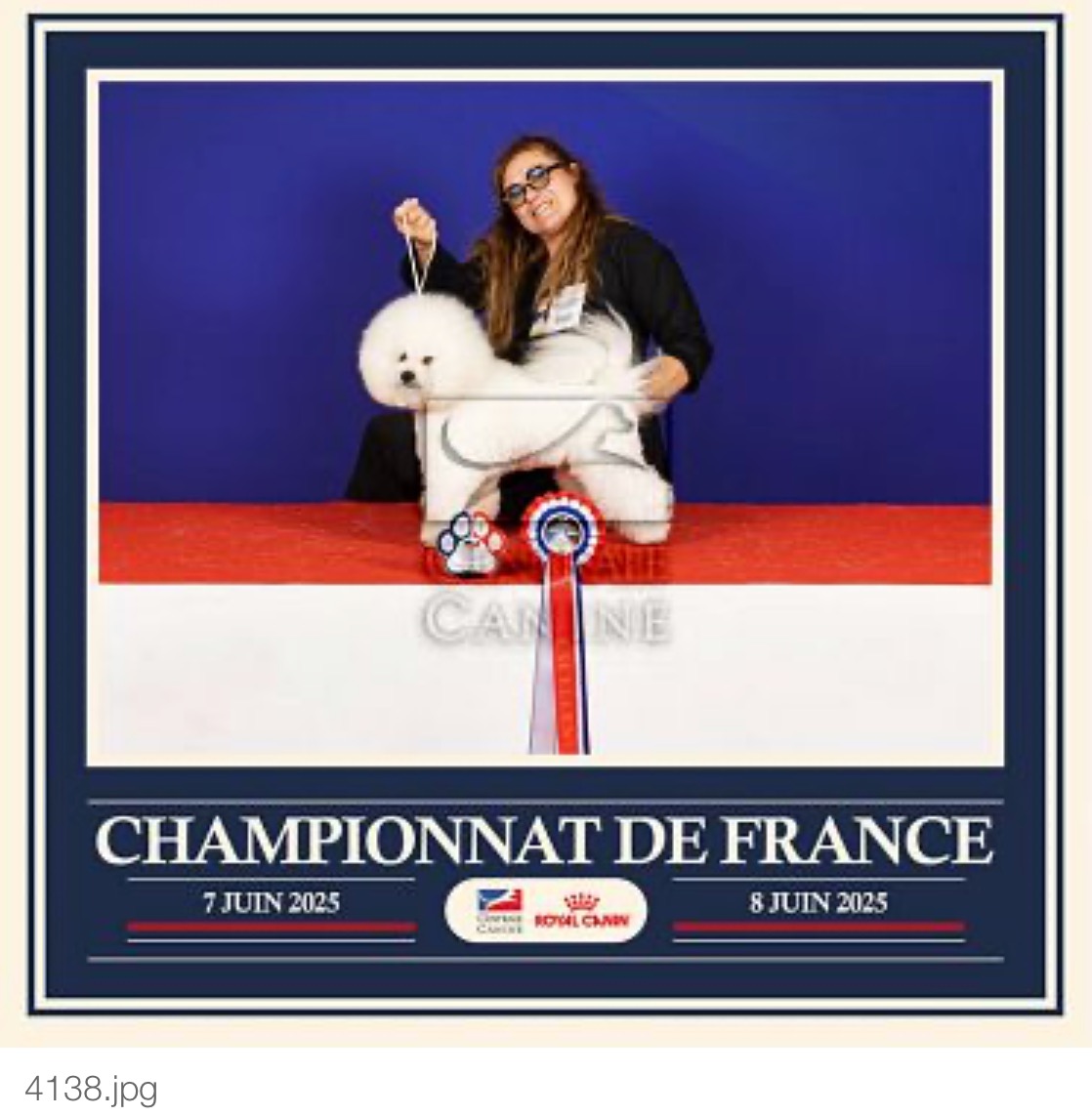 BICHON_FRISE_CHARLY.jpeg